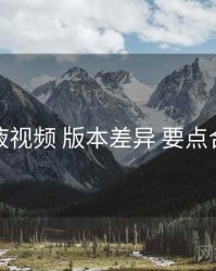 爱液视频 版本差异 要点合辑