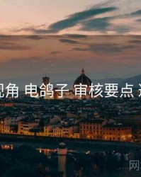 全链路视角 电鸽子 审核要点 避坑指南