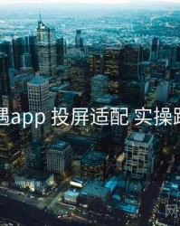岛遇app 投屏适配 实操路径