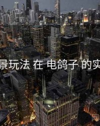 场景玩法 在 电鸽子 的实操