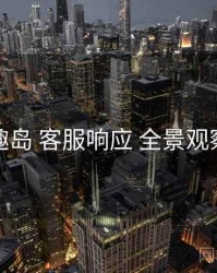 趣岛 客服响应 全景观察