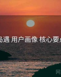 岛遇 用户画像 核心要点