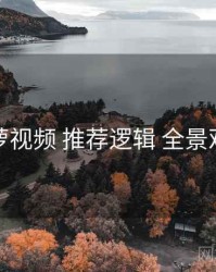 菠萝视频 推荐逻辑 全景观察