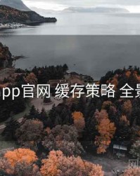 电鸽app官网 缓存策略 全景观察