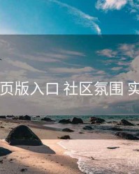 电鸽网页版入口 社区氛围 实操路径