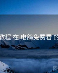 新手教程 在 电鸽免费看 的实操