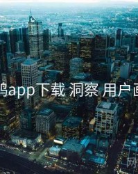 电鸽app下载 洞察 用户画像