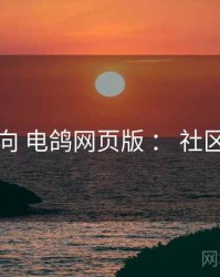 新手向 电鸽网页版 ： 社区氛围