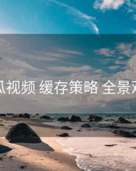 木瓜视频 缓存策略 全景观察