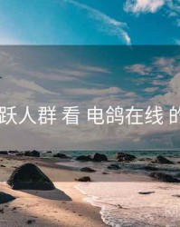 从 活跃人群 看 电鸽在线 的优势