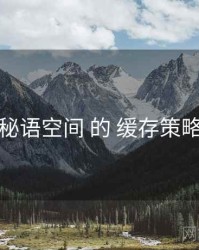 关于 秘语空间 的 缓存策略 研究