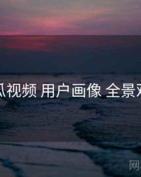 木瓜视频 用户画像 全景观察