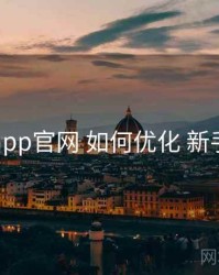 电鸽app官网 如何优化 新手教程