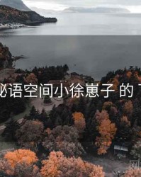 观察记 秘语空间小徐崽子 的 下载策略