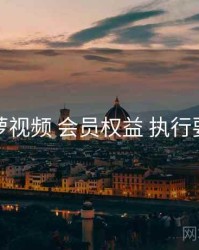 菠萝视频 会员权益 执行要点