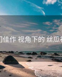 冷门佳作 视角下的 丝瓜视频
