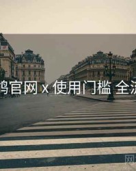 电鸽官网 x 使用门槛 全流程