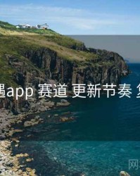 岛遇app 赛道 更新节奏 复盘