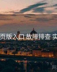 电鸽网页版入口 故障排查 实操路径
