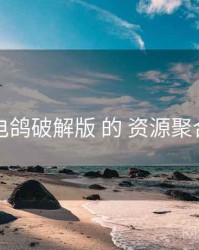 围绕 电鸽破解版 的 资源聚合 思路
