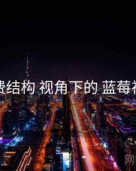 收费结构 视角下的 蓝莓视频