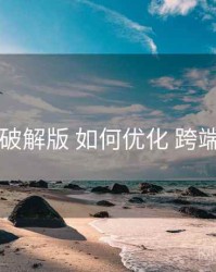 电鸽破解版 如何优化 跨端同步
