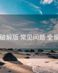 电鸽破解版 常见问题 全景观察