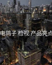 电鸽子 检视 产品亮点