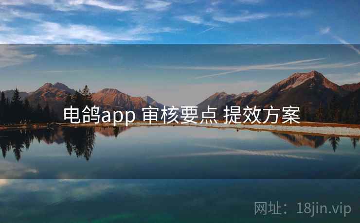 电鸽app 审核要点 提效方案
