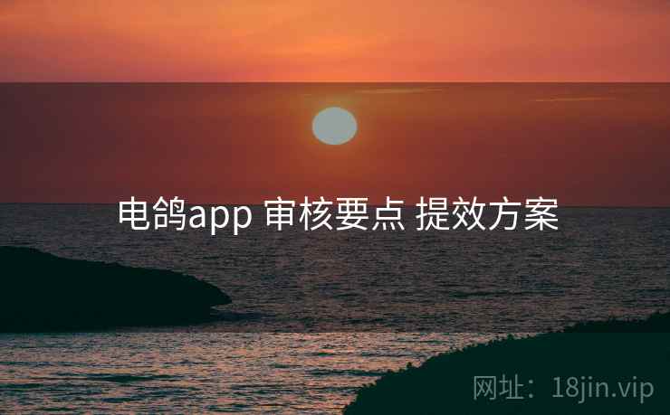 电鸽app 审核要点 提效方案