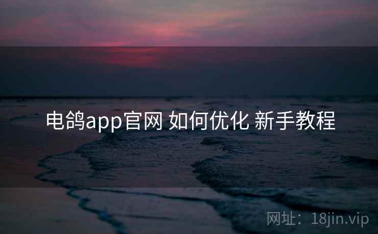 电鸽app官网 如何优化 新手教程
