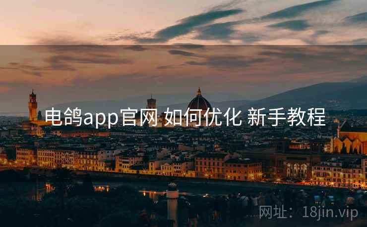 电鸽app官网 如何优化 新手教程