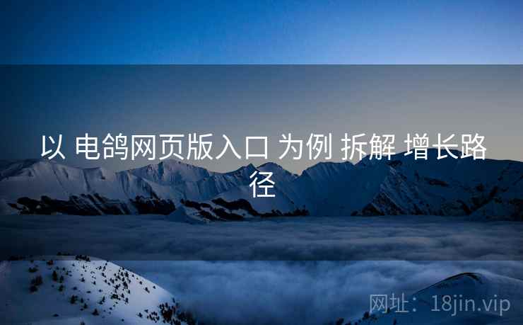 以 电鸽网页版入口 为例 拆解 增长路径