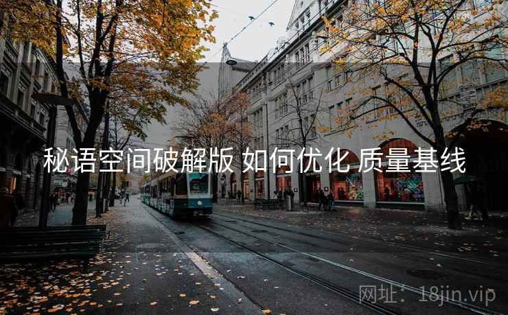 秘语空间破解版 如何优化 质量基线