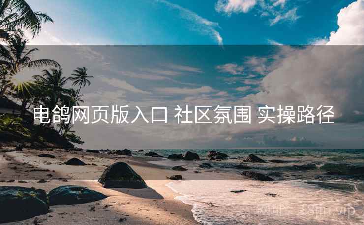 电鸽网页版入口 社区氛围 实操路径