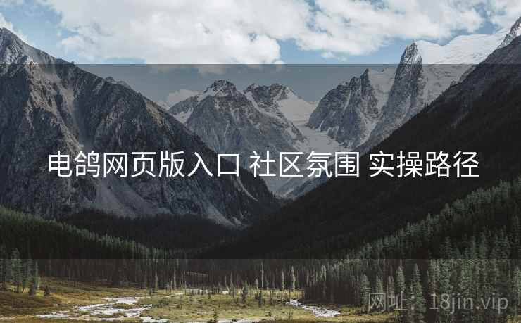 电鸽网页版入口 社区氛围 实操路径