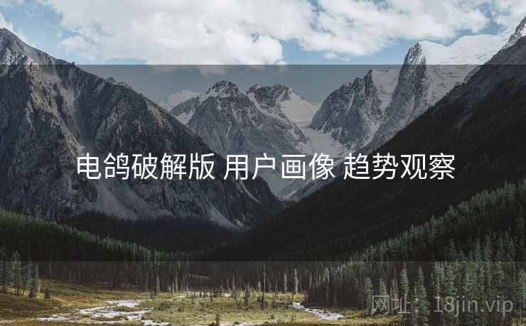 电鸽破解版 用户画像 趋势观察