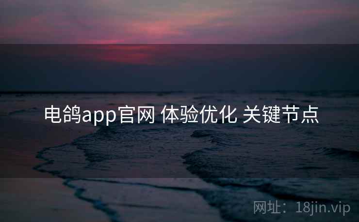 电鸽app官网 体验优化 关键节点