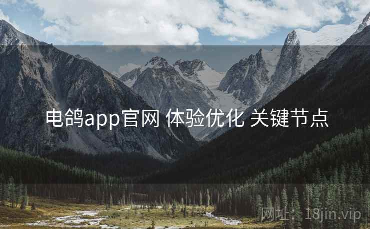 电鸽app官网 体验优化 关键节点