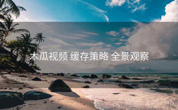 木瓜视频 缓存策略 全景观察
