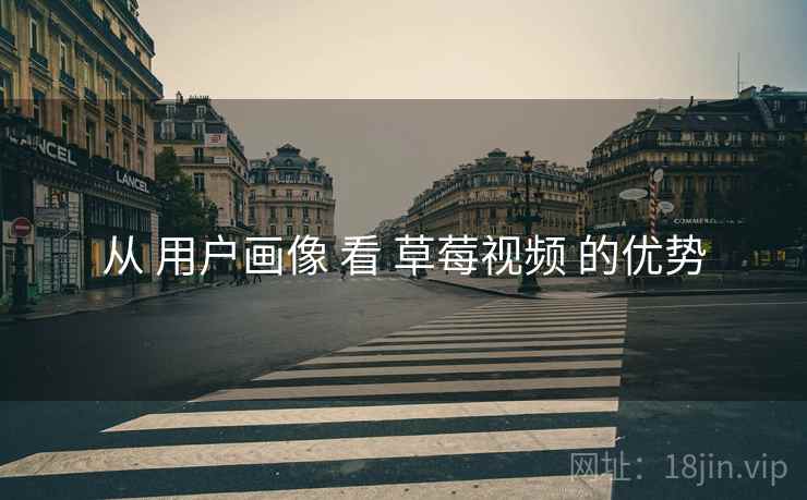 从 用户画像 看 草莓视频 的优势