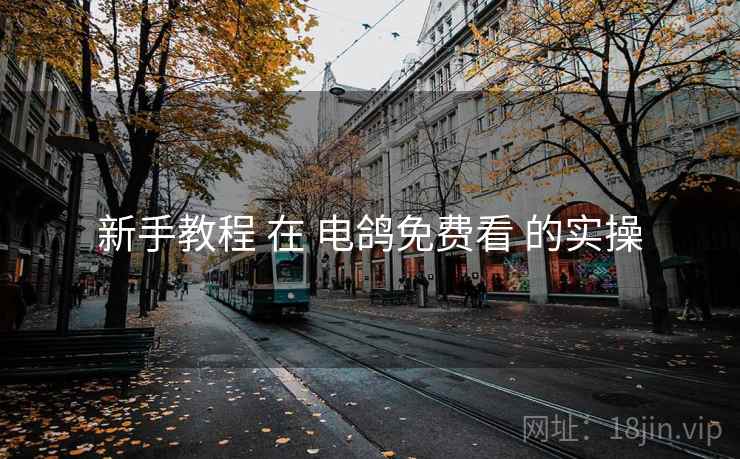 新手教程 在 电鸽免费看 的实操