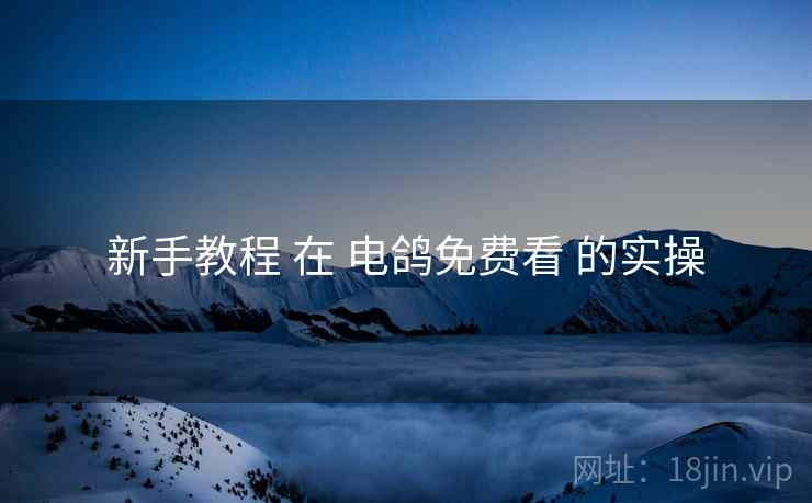 新手教程 在 电鸽免费看 的实操
