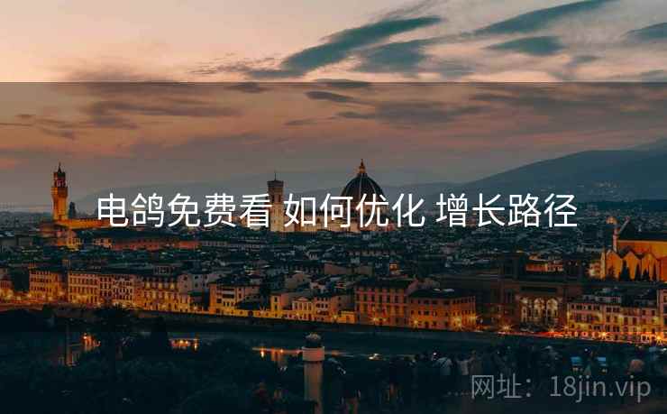 电鸽免费看 如何优化 增长路径