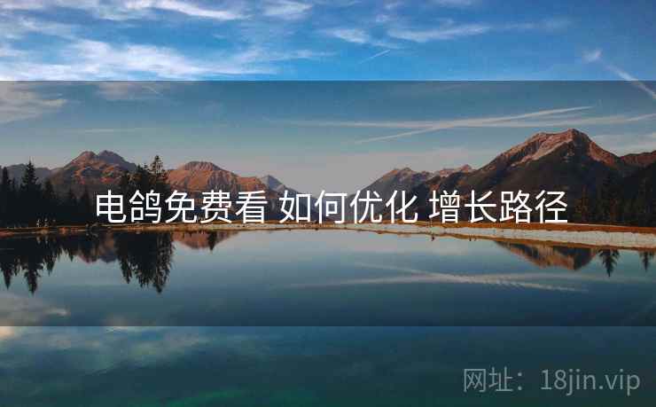 电鸽免费看 如何优化 增长路径