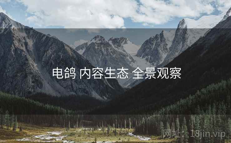 电鸽 内容生态 全景观察