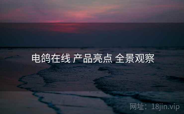 电鸽在线 产品亮点 全景观察