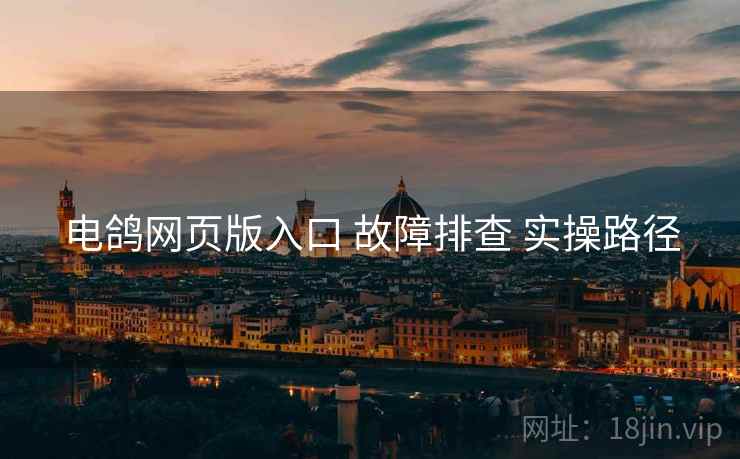 电鸽网页版入口 故障排查 实操路径