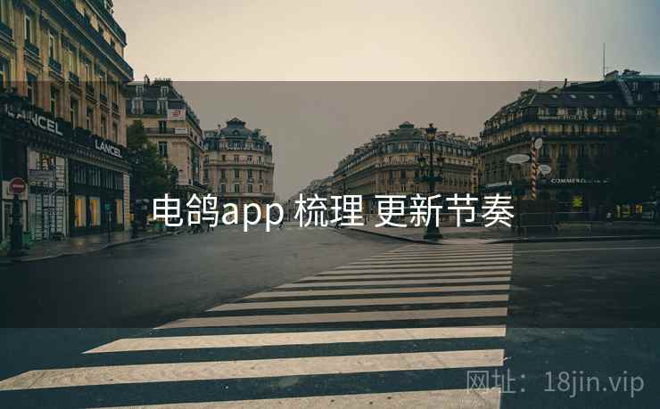 电鸽app 梳理 更新节奏
