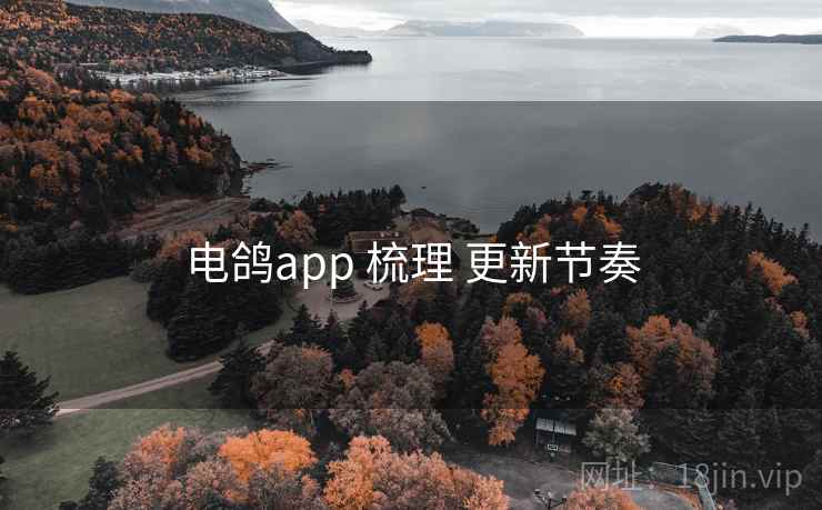 电鸽app 梳理 更新节奏